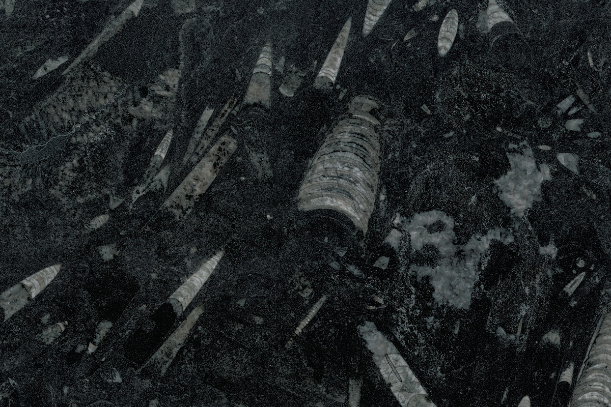 Bespoke Carrara Marble Installations