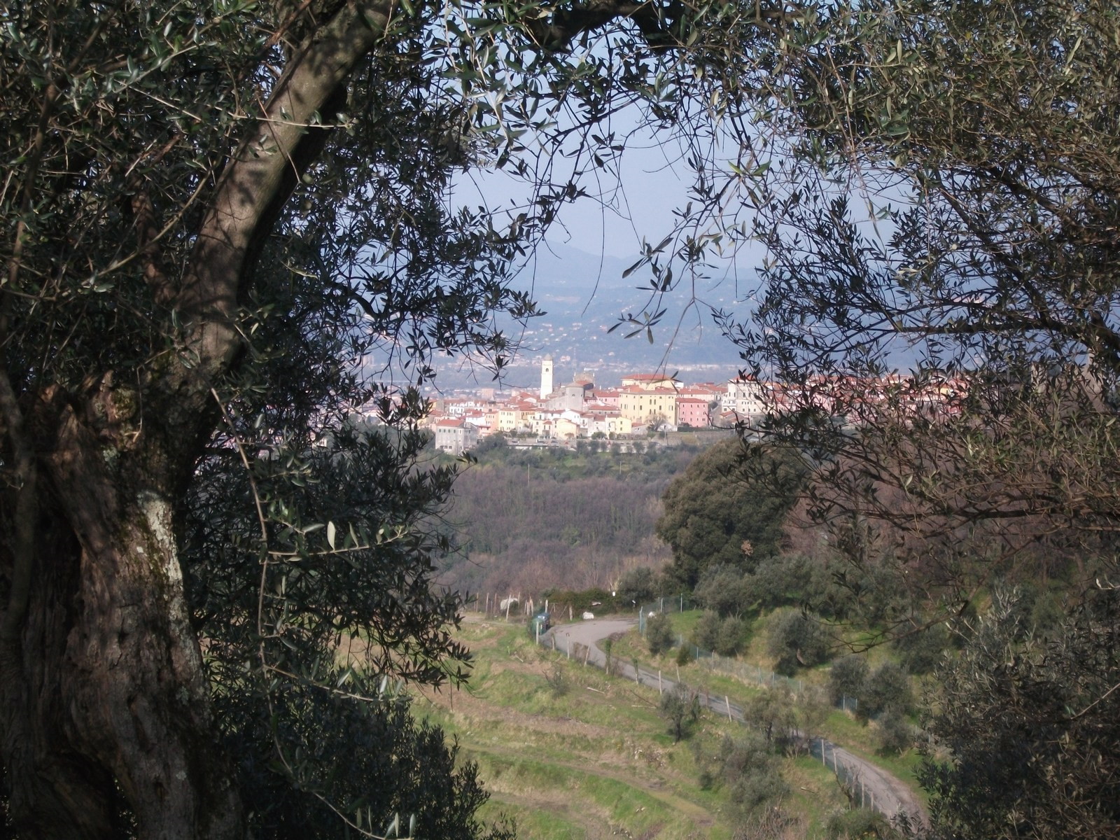 Bespoke Carrara Marble Installations