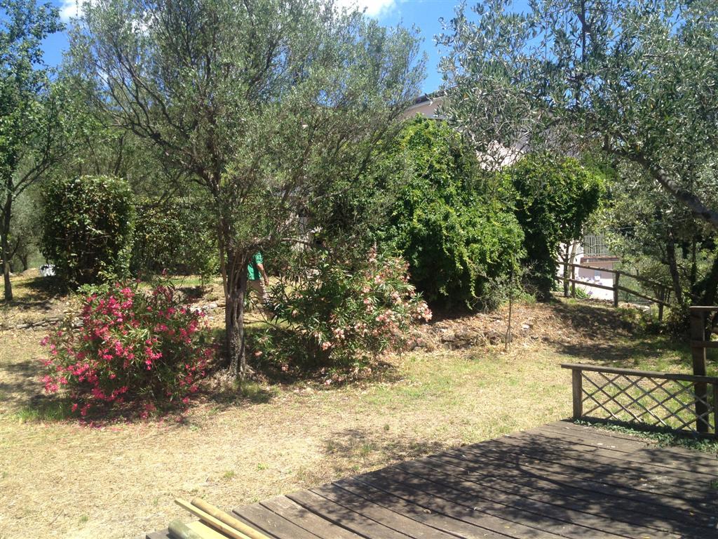 Bespoke Carrara Marble Installations