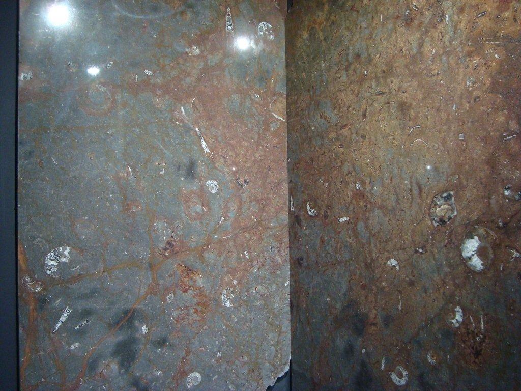 Bespoke Carrara Marble Installations