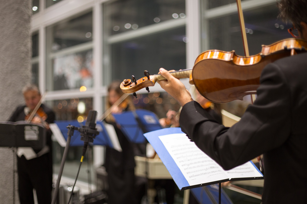 Bespoke Carrara Marble Installations