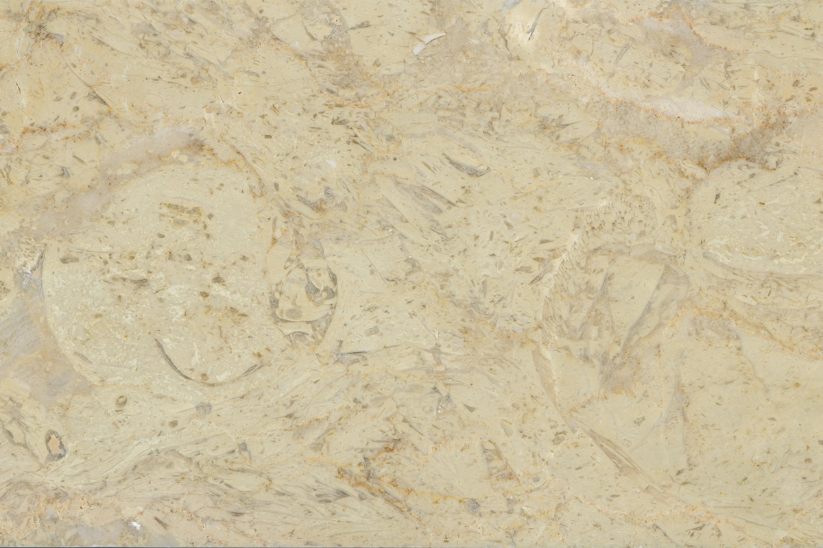 Bespoke Carrara Marble Installations