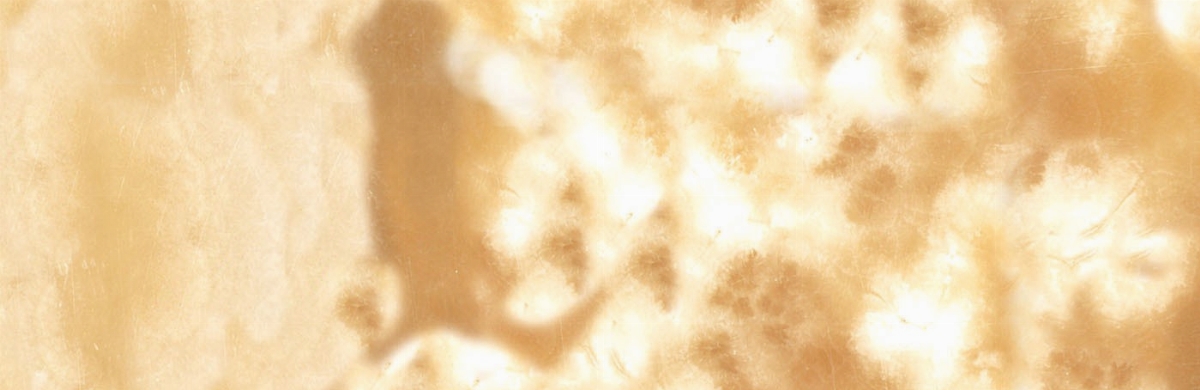 Bespoke Carrara Marble Installations