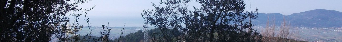 Bespoke Carrara Marble Installations