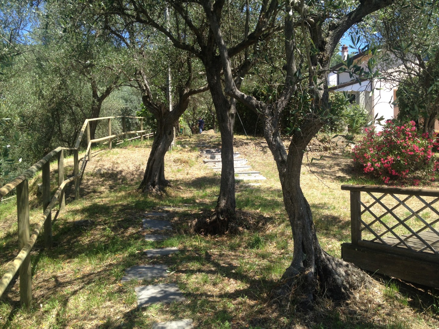 Bespoke Carrara Marble Installations