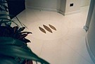 Bespoke Carrara Marble Installations