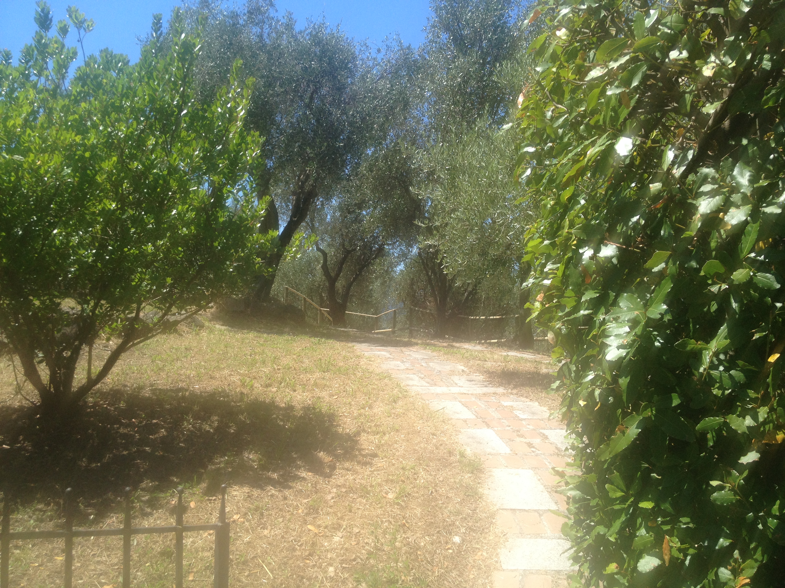 Bespoke Carrara Marble Installations