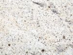 Bespoke Carrara Marble Installations