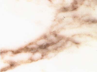 CALACATTA CAMPOCECINA