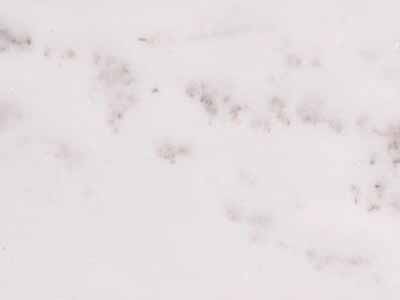 ALABAMA WHITE slabs tiles project