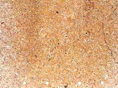 AMARILLO CORAL slabs tiles project