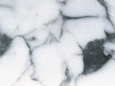 ARABESCATO CORCHIA slabs tiles project