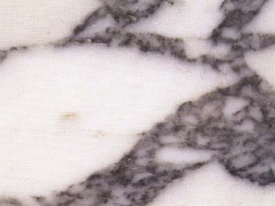 ARABESCATO TOMBACCIO slabs tiles project