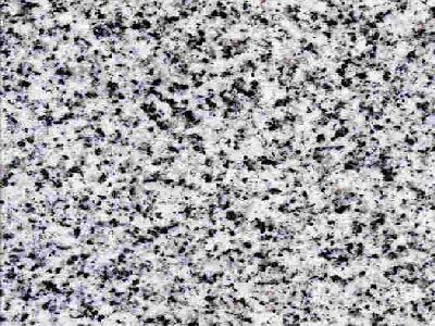 ARCTIC WHITE slabs tiles project