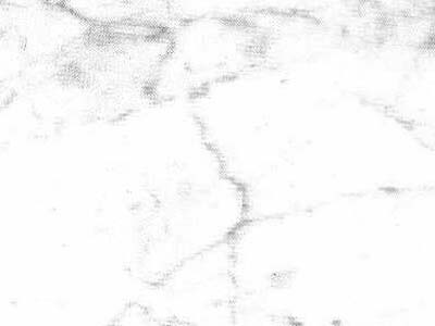 BIANCO CARRARA VENATO slabs tiles project