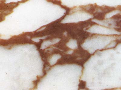 CALACATTA VAGLI EXTRA slabs tiles project