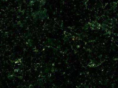 CANADIAN SPRING GREEN slabs tiles project