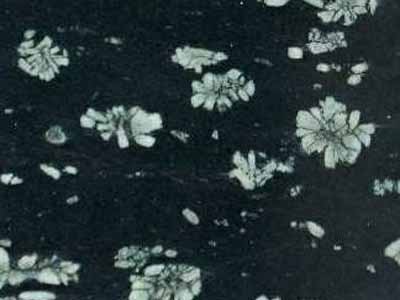 DEEP SEA slabs tiles project