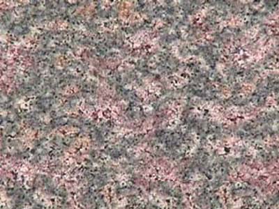 DESERT BLOOM slabs tiles project