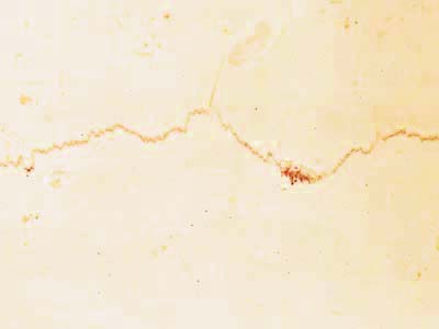 FILETTO ROSSO IONICO slabs tiles project