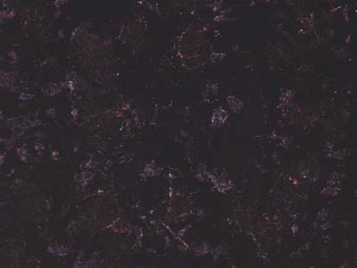 G 1407 B slabs tiles project