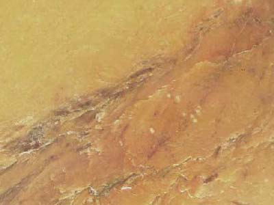 GIALLO SIENA slabs tiles project