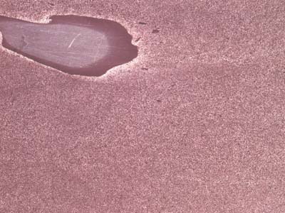 HOPFAU slabs tiles project