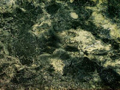 IRAN G 156 slabs tiles project