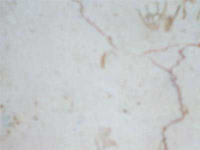 IRAN M 223 slabs tiles project