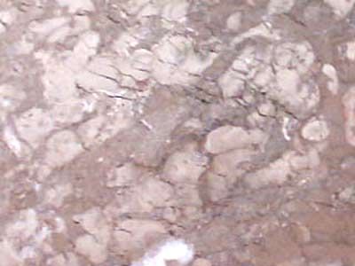 IRAN M 233 slabs tiles project