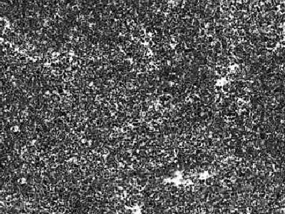 JET MIST slabs tiles project