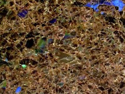 LABRADOR ANTICO slabs tiles project