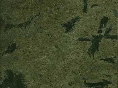 PHOENIX DIAMOND slabs tiles project