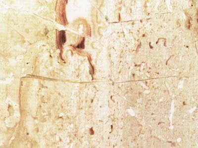 PINK LIBERTY slabs tiles project