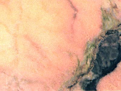 ROSA AURORA MEX slabs tiles project