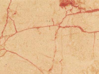 ROSALIA slabs tiles project