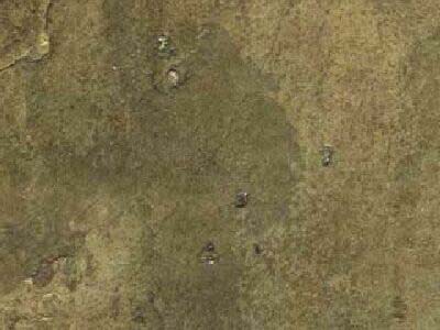 TONY BROWN slabs tiles project