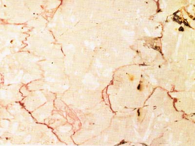 TRANI FIORITO slabs tiles project