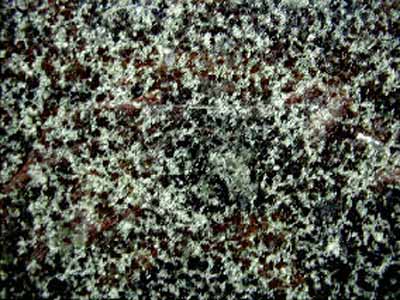 VERDE FANTASTICO slabs tiles project