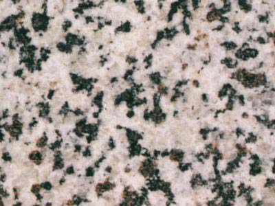 WHITE GRANADA slabs tiles project