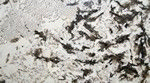 Bespoke Carrara Marble Installations