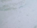 Bespoke Carrara Marble Installations
