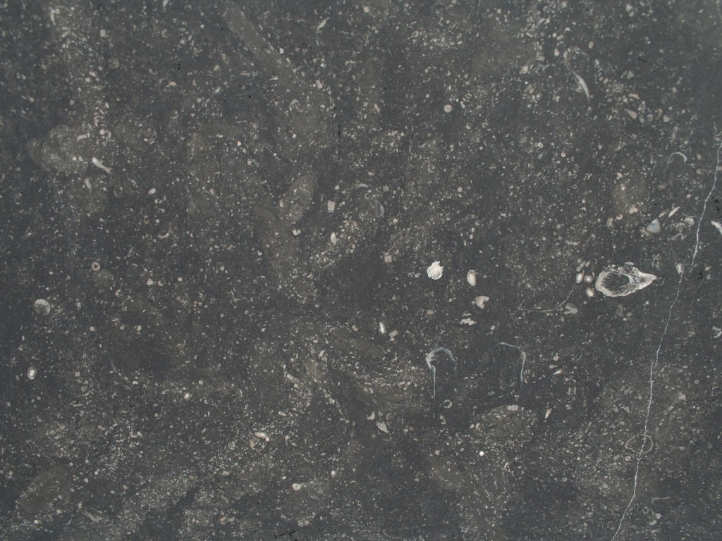 Bespoke Carrara Marble Installations