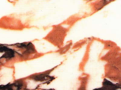 CALACATTA VAGLI ROSATO